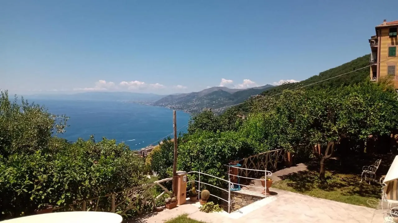 Appartamento La Casa Di Sotto By Portofinovacanze Camogli